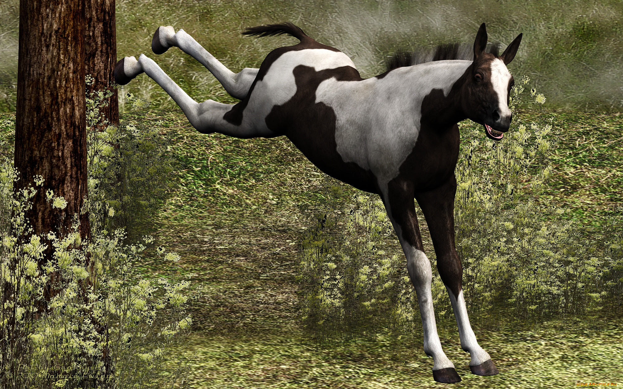 3, , animals, , 